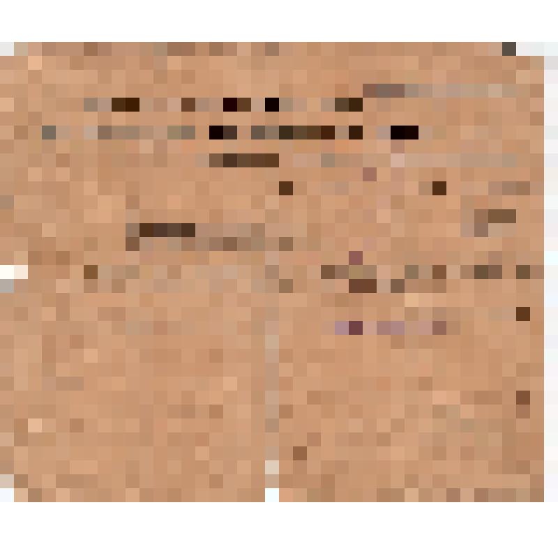 Письмо на имя Сарсекова