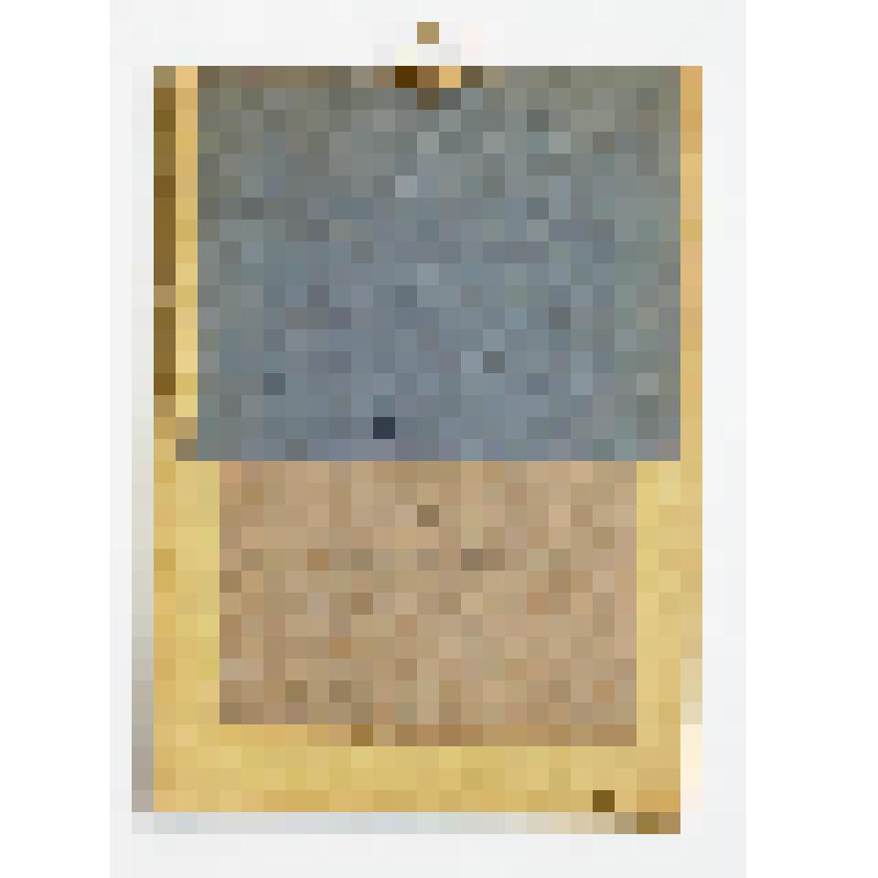 "Мужской портрет в овале, украшенный военными атрибутами"