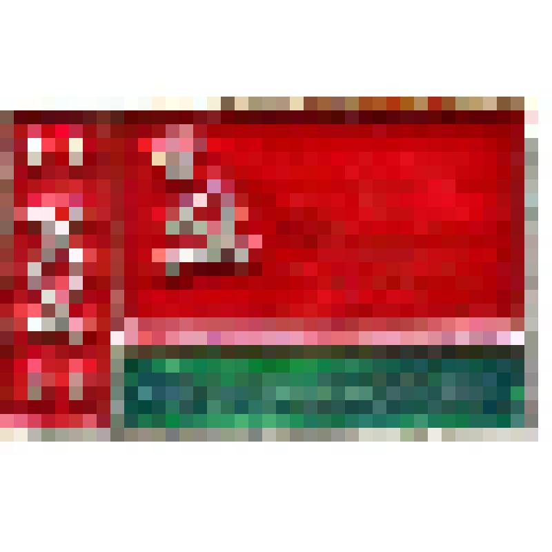 Значок. Флаг Белорусской ССР, на иголке. СССР