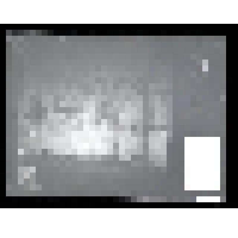 Негатив. Церковь Вознесения Господня. Галерея. Село Коломенское