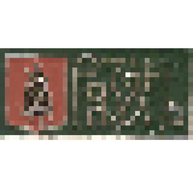 Значок нагрудный с изображением герба г.Рязани. Из коллекции по теме "Геральдика"