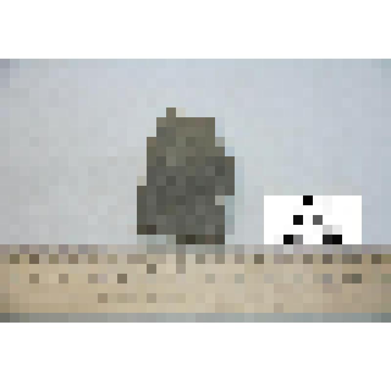 Фрагмент стенки сосуда