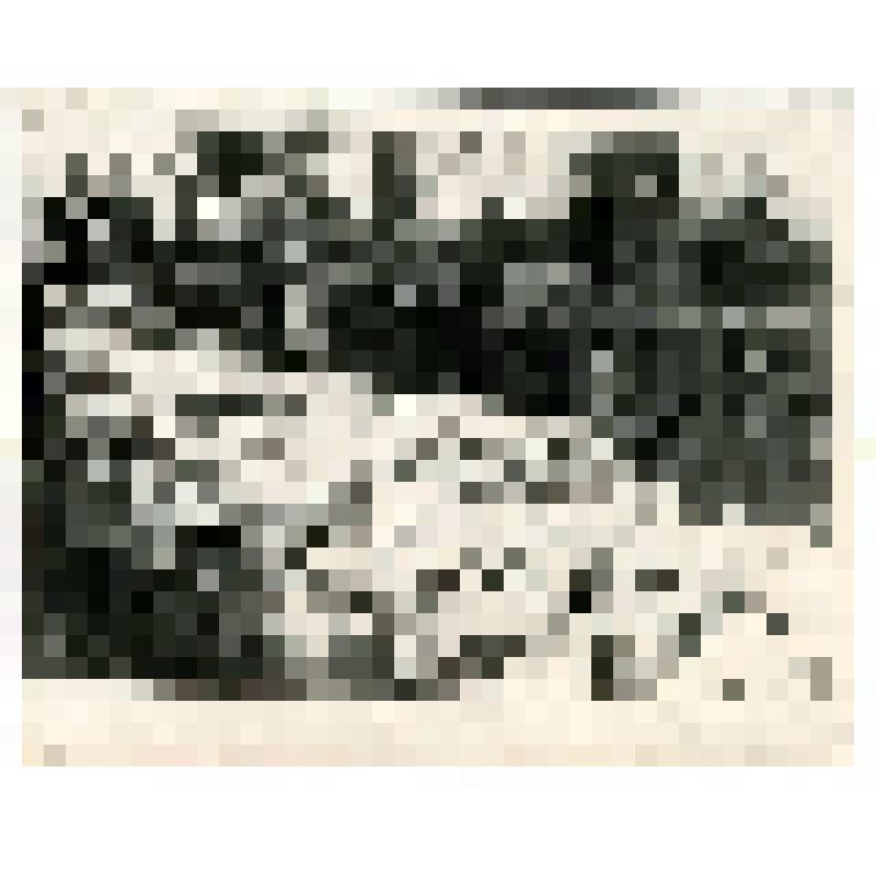 Фотография. Строительство школы №6 в 1933-1936 годах