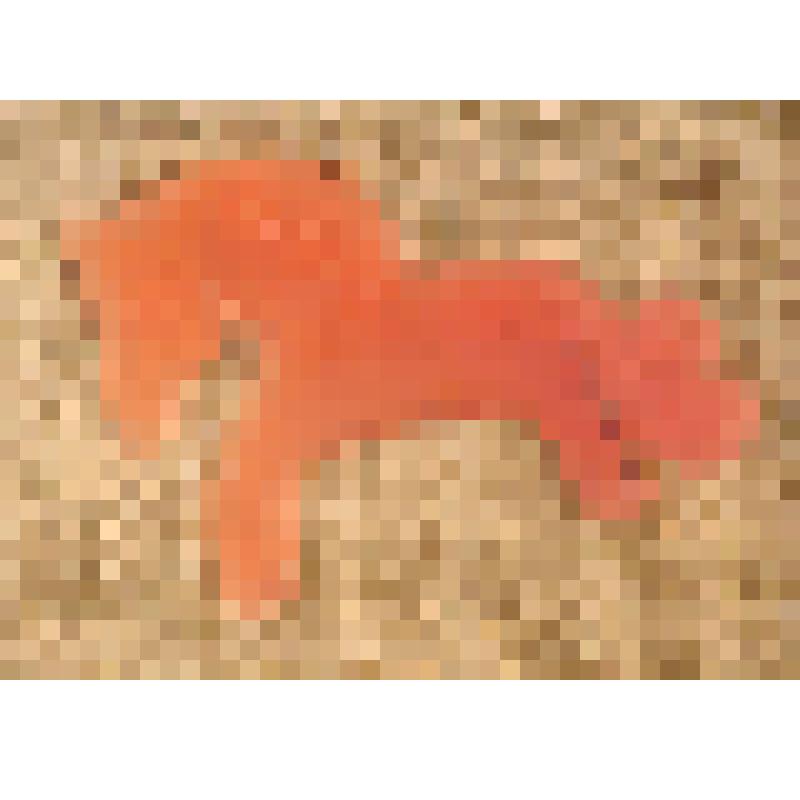 Игрушка елочная «Конь», из коллекции елочных игрушек и украшений