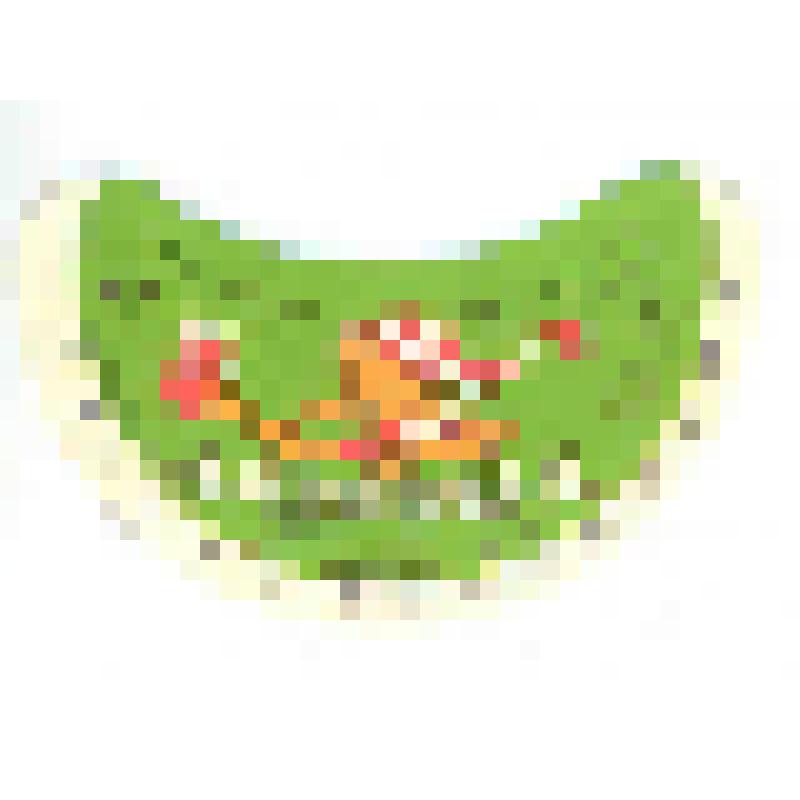 Кольеретка-этикетка горловая к напитку «Лимонад» производства Подольского завода фруктовых вод, из коллекции кольереток – этикеток горловых к безалкогольным напиткам