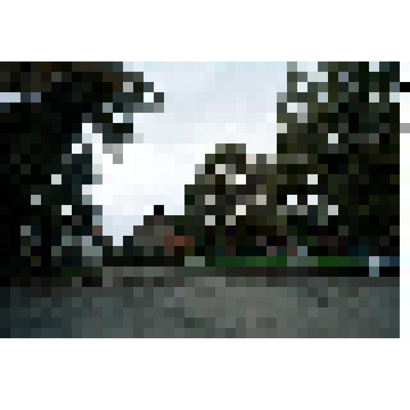 Фотоотпечаток. Рундлинг Шрайан. Площадь в центре деревни. Немцы