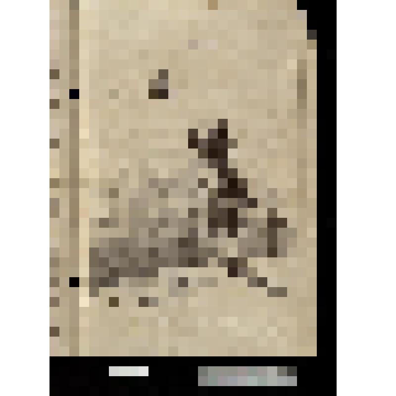 Ils voudraient éteindre jusqu'au Soleil