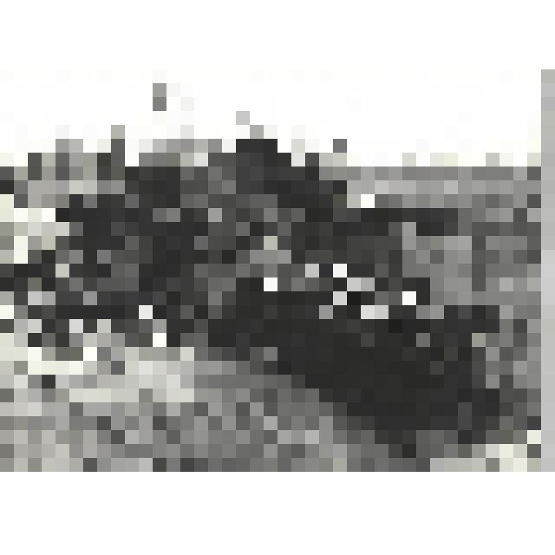 Фотографии. Фото ч/б. Фашистский танк, подбитый на Курской Дуге, 1943 г