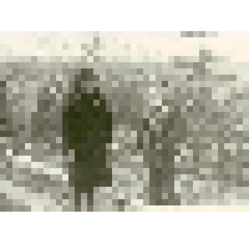 Фотография. Мария Петровна с внуком Сашей