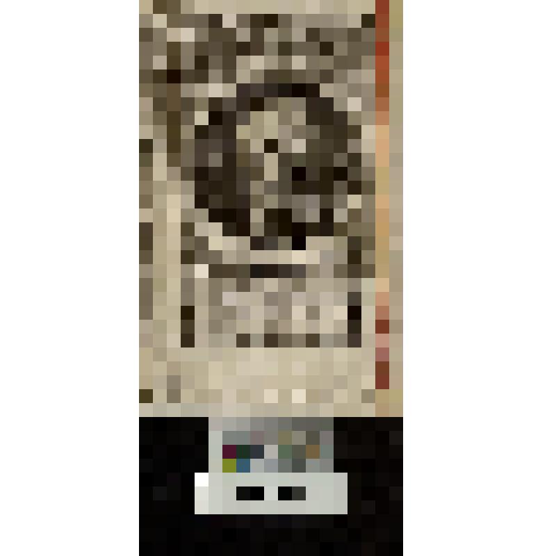 12. Портрет Максимилиана Фердинанда фон Маушвиц. "Maximilian Ferdinand von Mauschwitz"