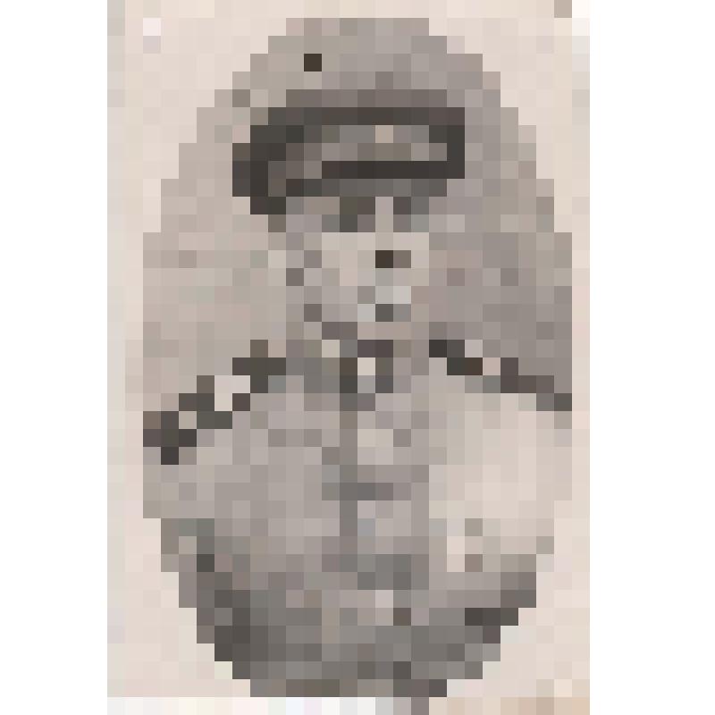 Фотография. Абанин Иван Алексеевич, участник ВОВ, Медведевский с/с