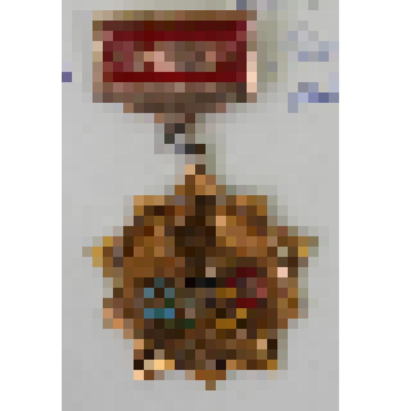 Медали памятные. Медаль памятная "Чемпион. Красноярск"