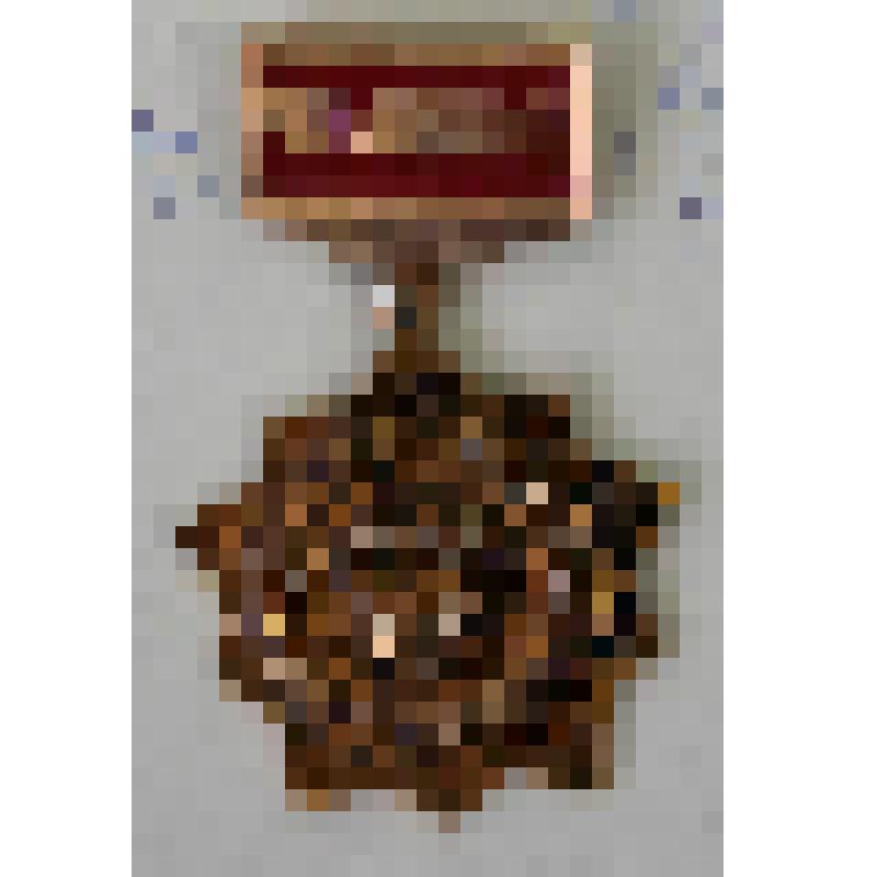 Медали памятные. Медаль памятная "Чемпион. Красноярск"