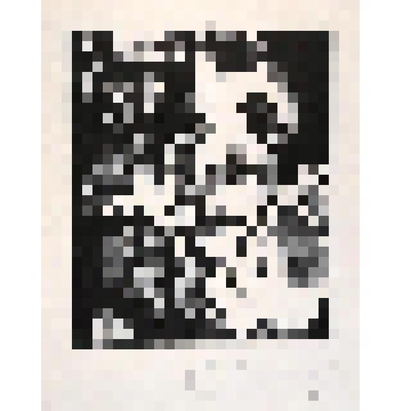 Экслибрис Exlibris Галины Красновой