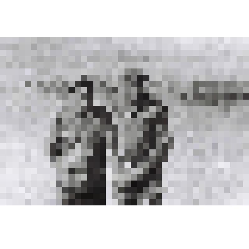 Негатив: «Начальник 3-й заставы ММГ Биробиджанского погранотряда Мельников В.В. (справа) и зампотех ММГ-7 Щигорцов Н.А. (слева) на территории ММГ»