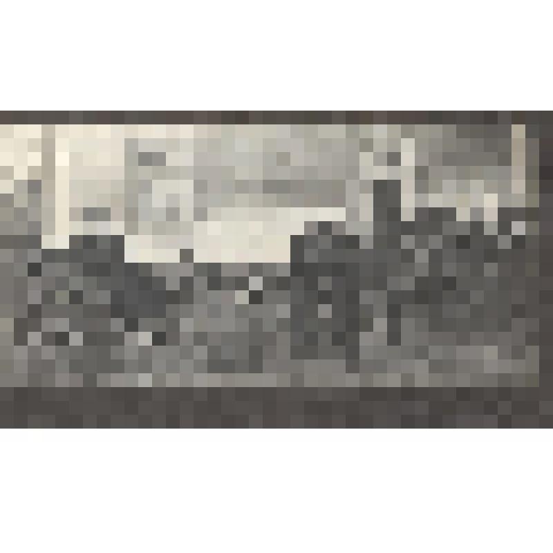 Л.Н.Толстой и А.Б.Гольденвейзер около дома в открытом экипаже, запряженном парой лошадей