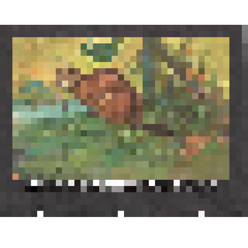 эскиз кадра к макету диафильма. Лист № 14: Норка
Фильм: Кто как к зиме готовится. 1989