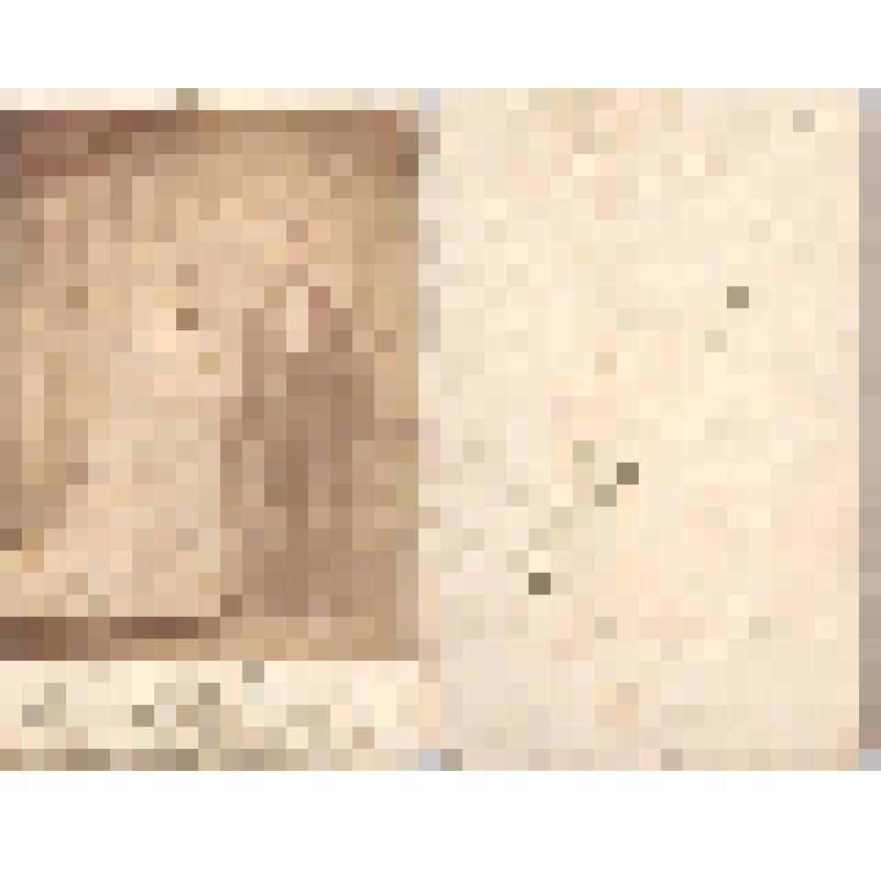 Портрет новобрачных