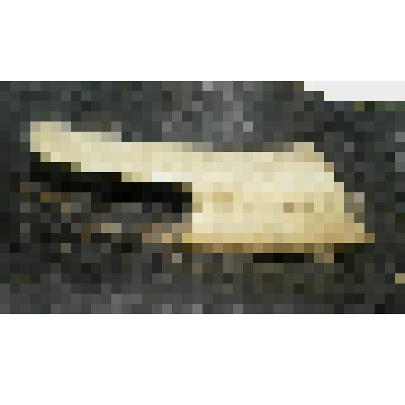 Блок костяной