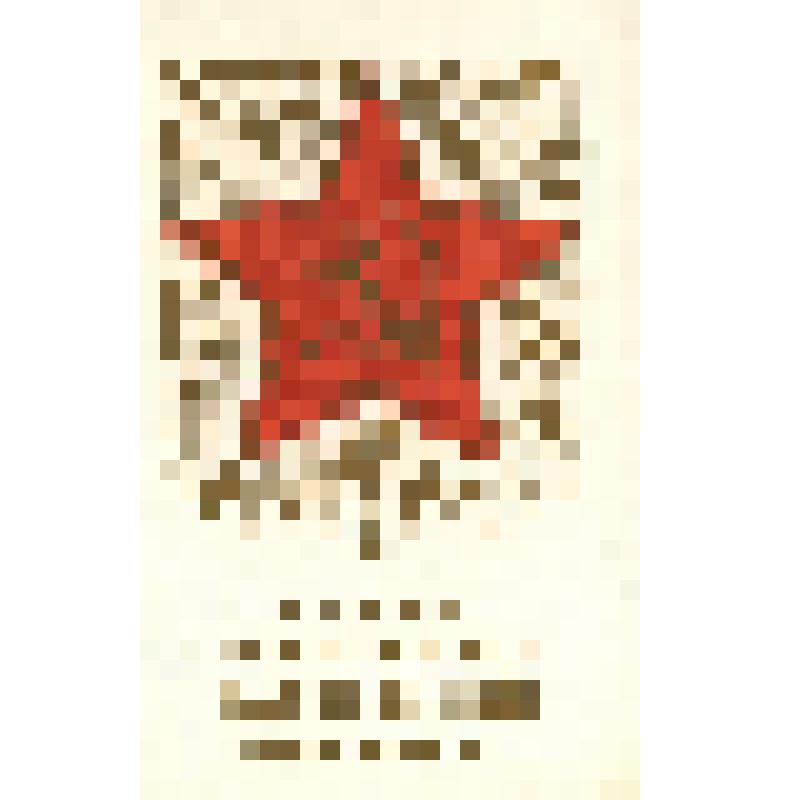 Открытки