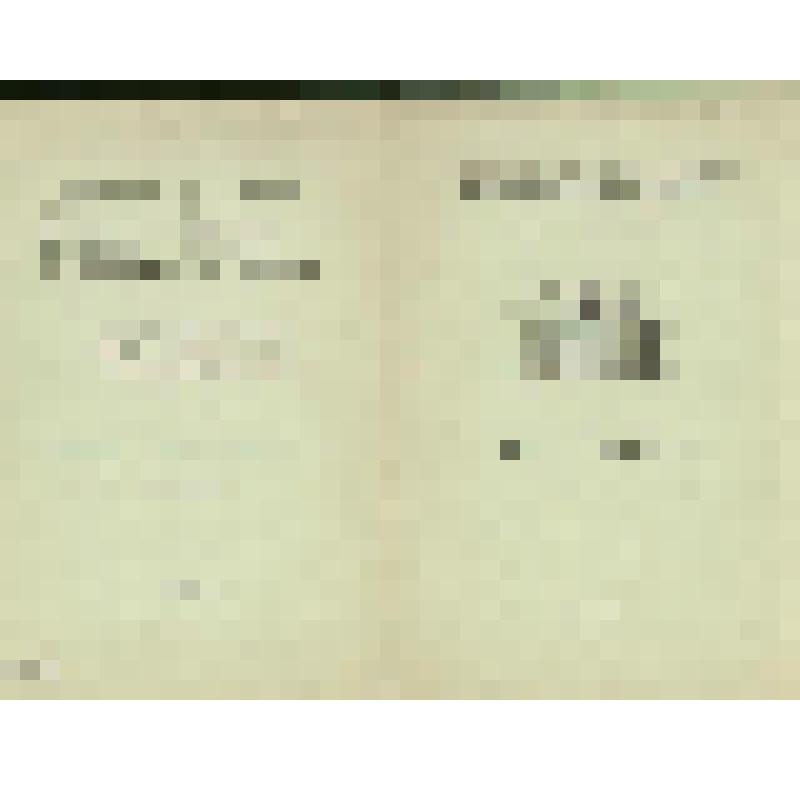 Программа. "Майская ночь" (Дирижер - Небольсин В.В. Режиссер - Покровский Б.А. Художник - Мазанов А.М.). Москва, Филиал Государственного Академического Большого театра СССР