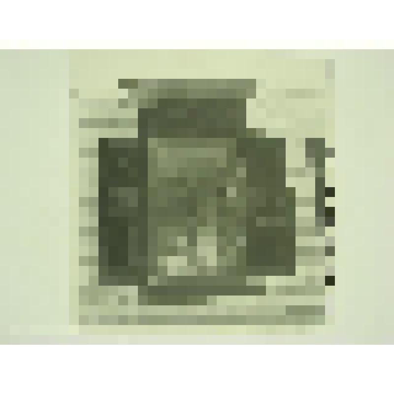 Дом Н.М.Беспалова. Ул. Привокзальная, 29. кон.XIX-нач.ХХ вв. Челябинская  обл., г. Карабаш, пос. Южный (с.Саймоновское). Дом Н.М.Беспалова. Ул. Привокзальная, 29. кон.XIX-нач.ХХ вв. Окно на лицевом фасаде