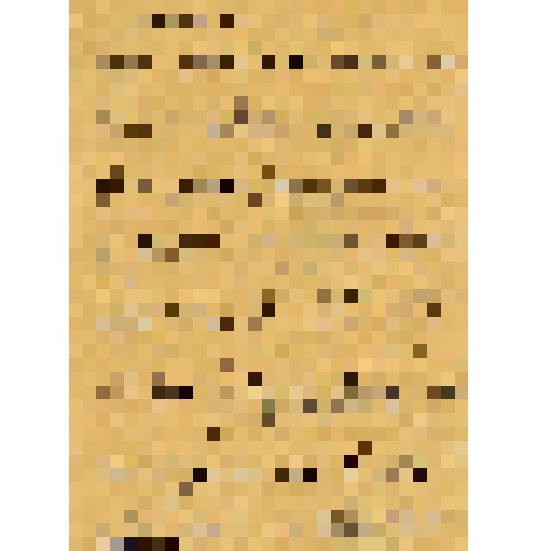 Характеристика на кулака Беляева С.М. из села Черновка