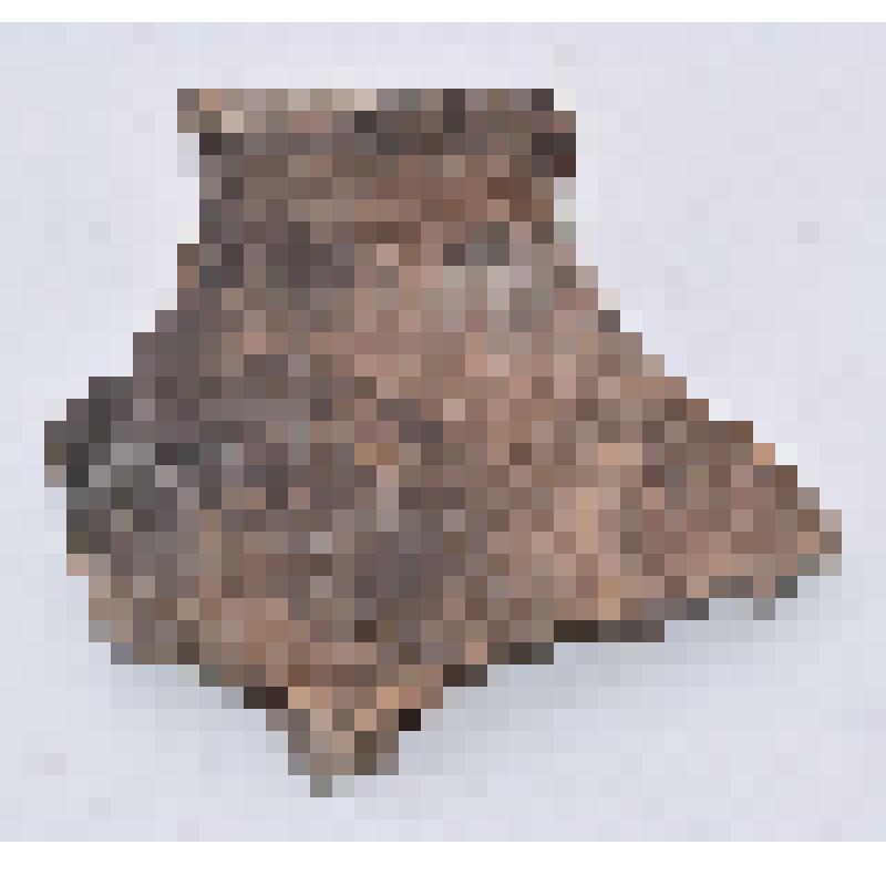 Кувшин (фрагмент)