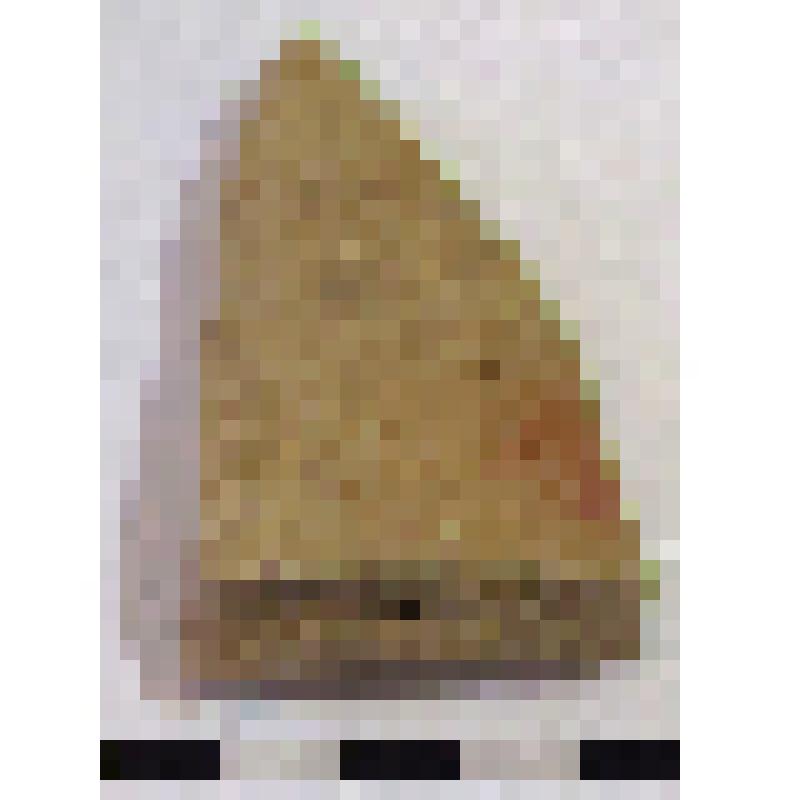 Фрагмент нижней части горла амфоры типа D с дипинто