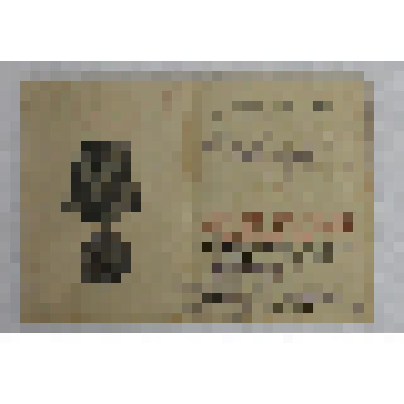 Удостоверение к медали «За победу над Германией в Великой Отечественной войне 1941-1945 гг.» Новикова Г.П