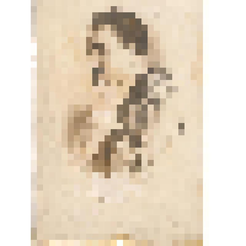 Фотография ч/б Белоусова А.И. в опере «Травиата» в роли Альфреда