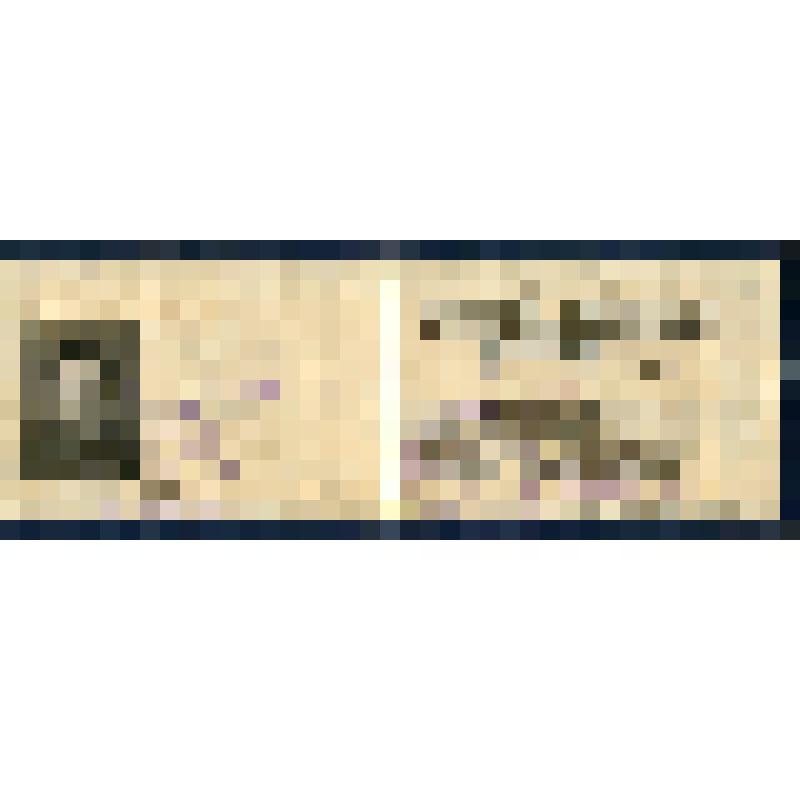 Документ. Удостоверение Ковалевой Анны Степановны - зам. зав. отдела пропаганды и агитации РК КПСС, 1956 г