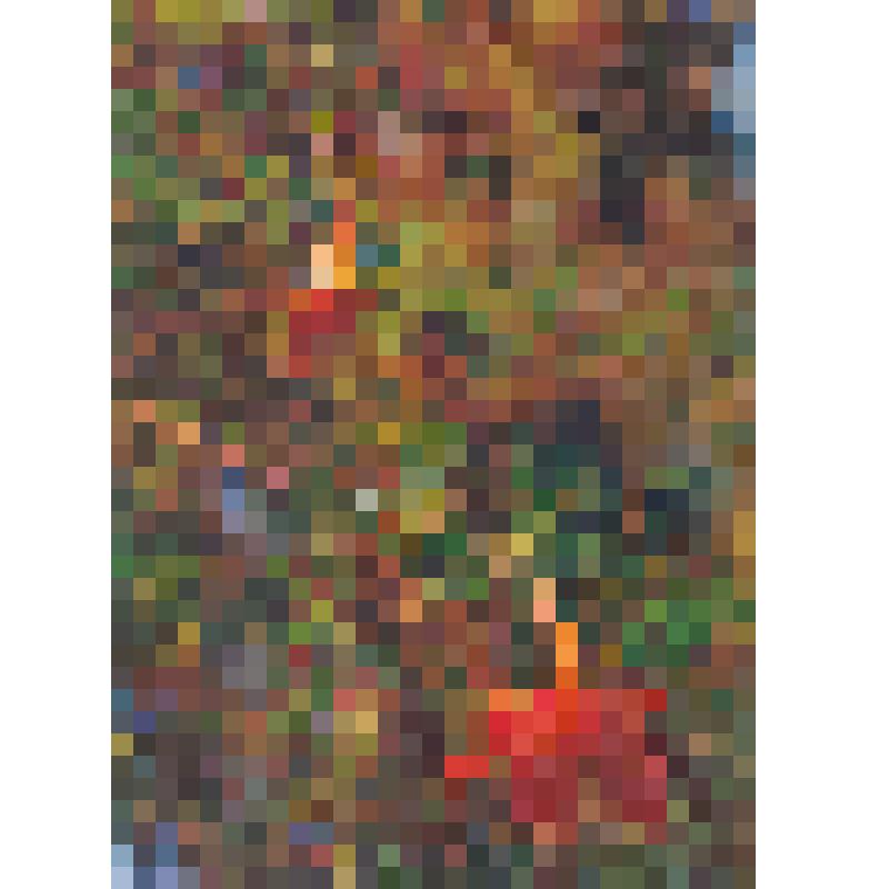 Открытка. Лекарственные растения. Гранат