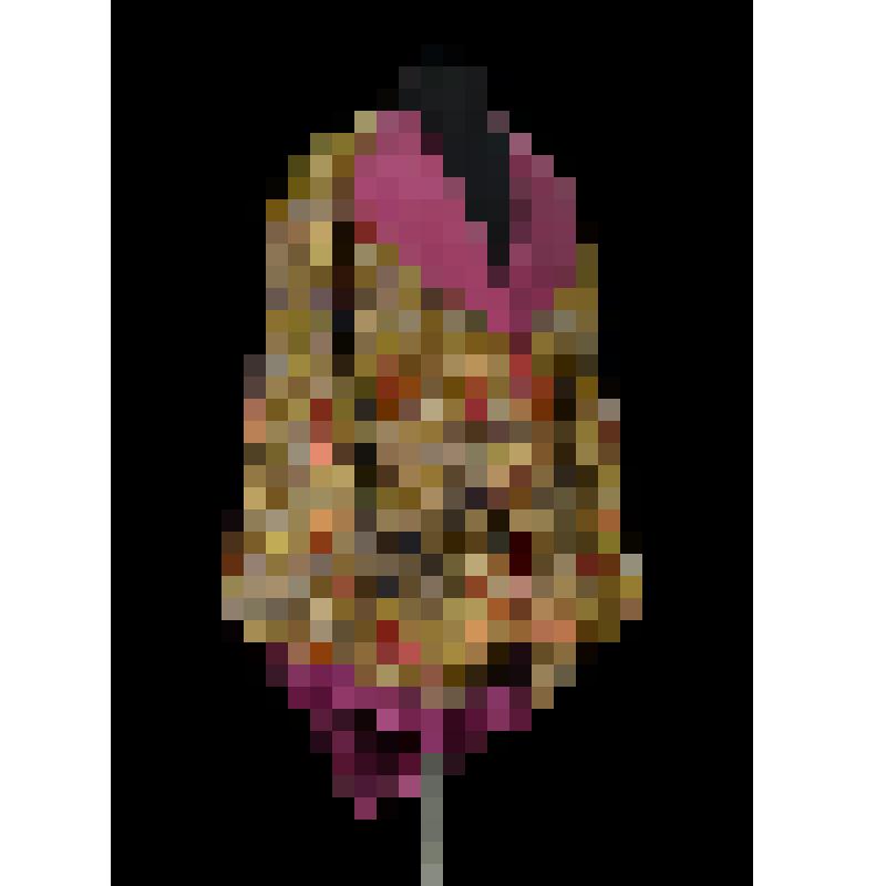 Деталь костюма Д.А. Смирнова к партии Ромео. Кошель. "Ромео и Джульетта". Гуно Ш.; 1896, реж. Барцал А.И., худ. Вальц К.Ф., Баранов В.В., Бредов А., Исаков П.А., Савицкий И.Ф