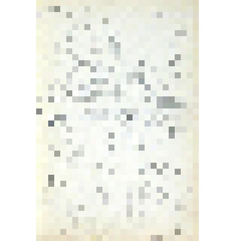 Лист 30. Из альбома "Село Велегож, весна"