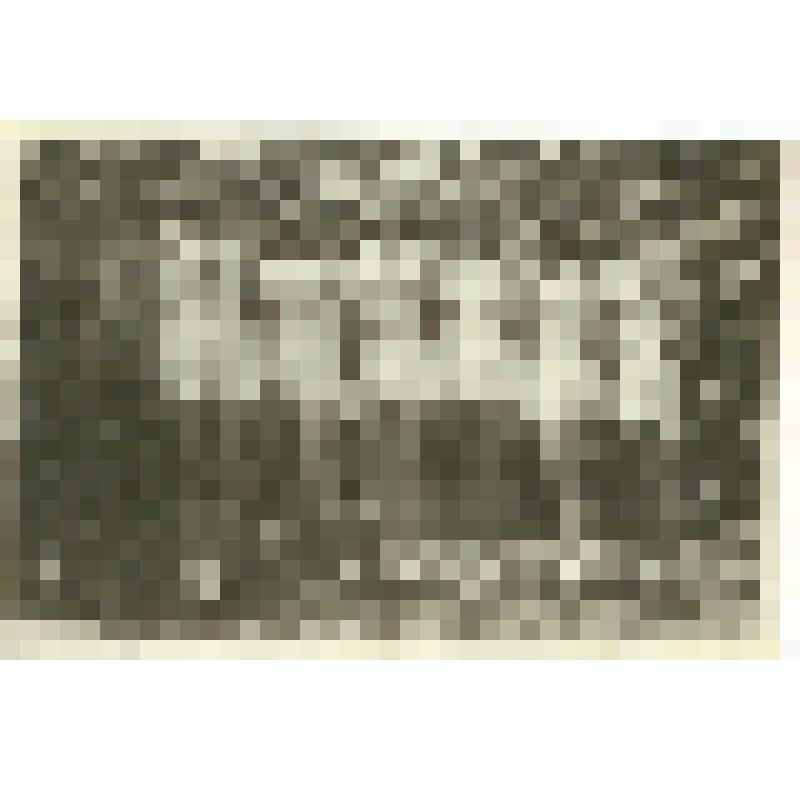 Фотография. Волейбольная команда Саратовского областного техникума физической культуры после городских соревнований