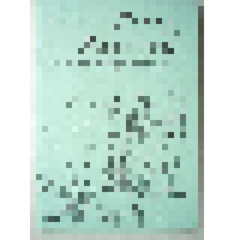 Брошюра "Город радости. Сказки для совершеннолетних"