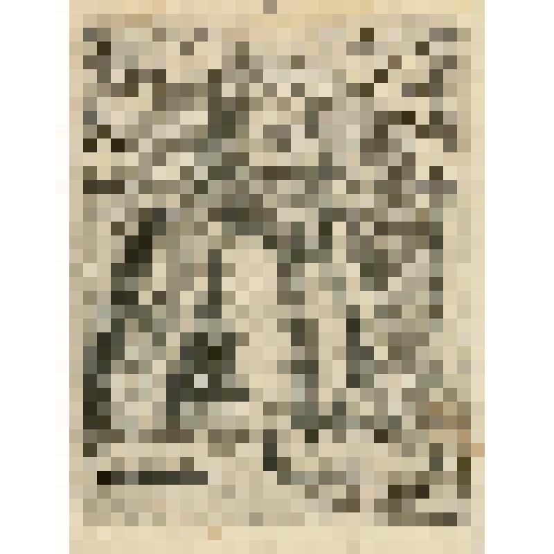 Михаеэль Таубер (нем. Michael Teuber), фонд западноевропейского  гравированного портрета