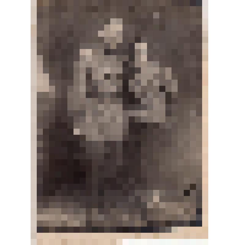 Фотография Бехтерева Константина Константиновича с женой после госпиталя