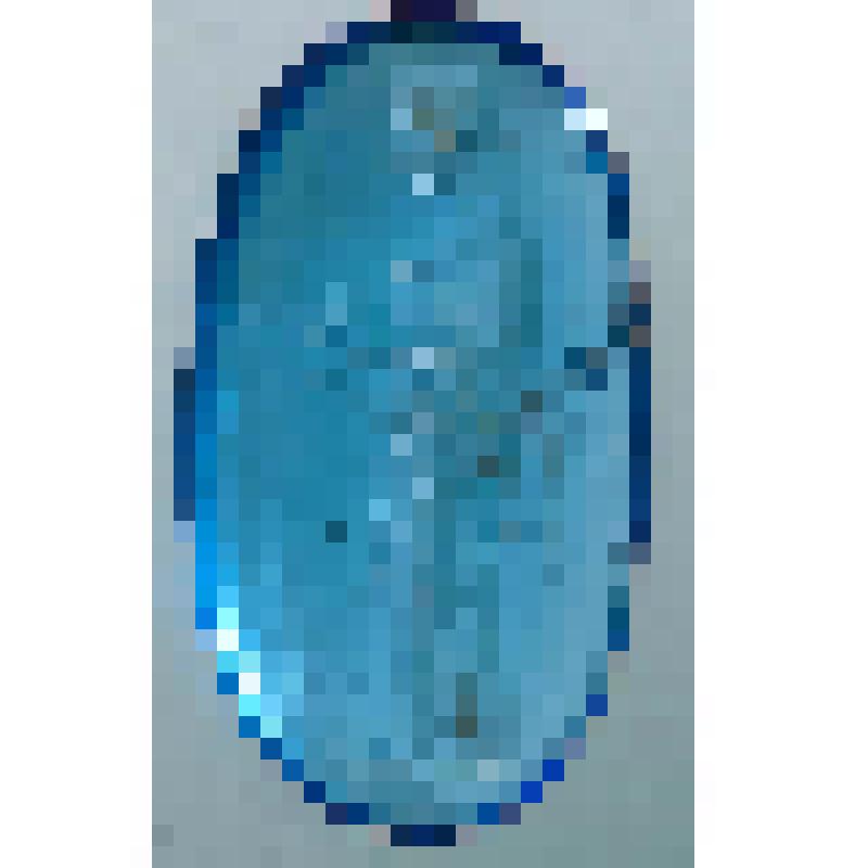 Инталия "Гигиея"