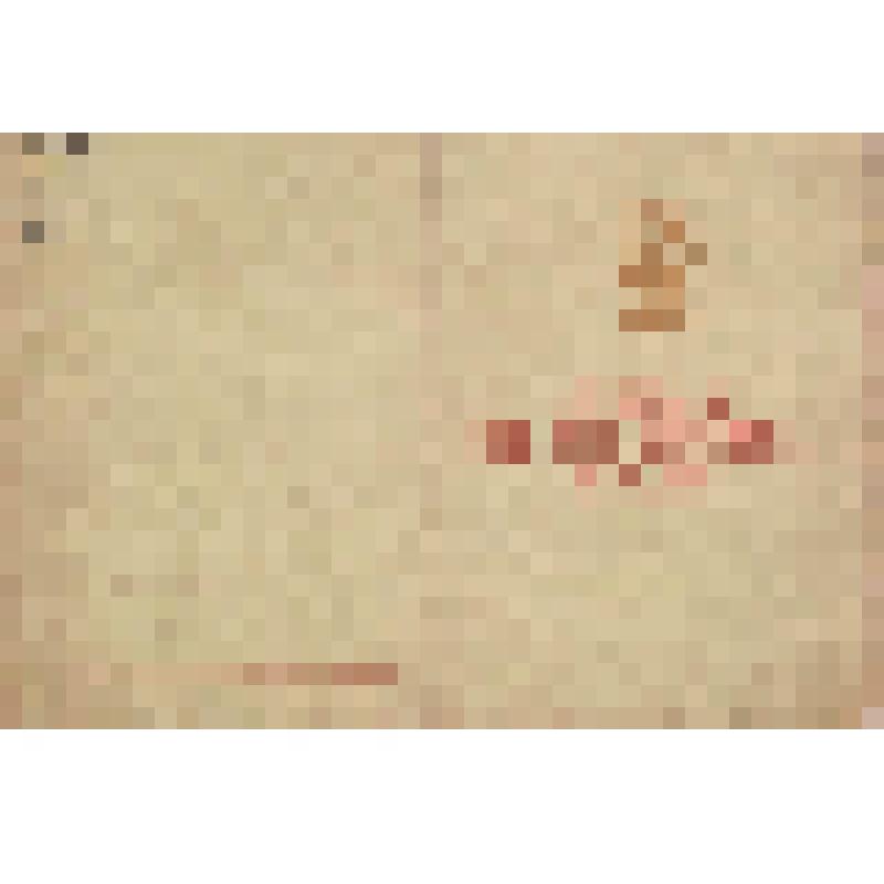 Свидетельство об участии и награждении медалью " Участник ВСХВ " Ковалева А.Р