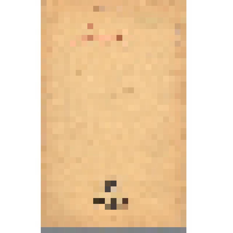 Журнал. Вопросы истории