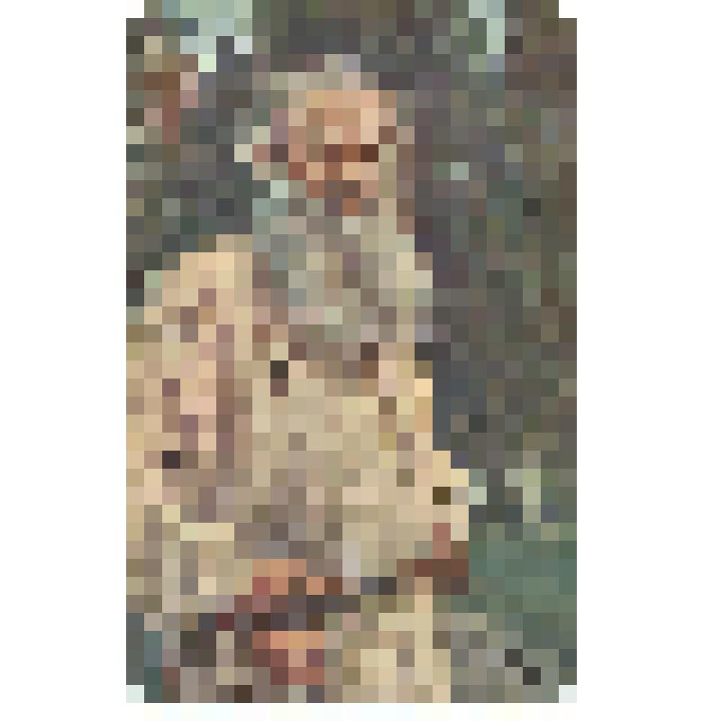 Открытка художественная репродукционная с картины французского художника Жана Стыка "Л.H.Толстой - "Человек правды"