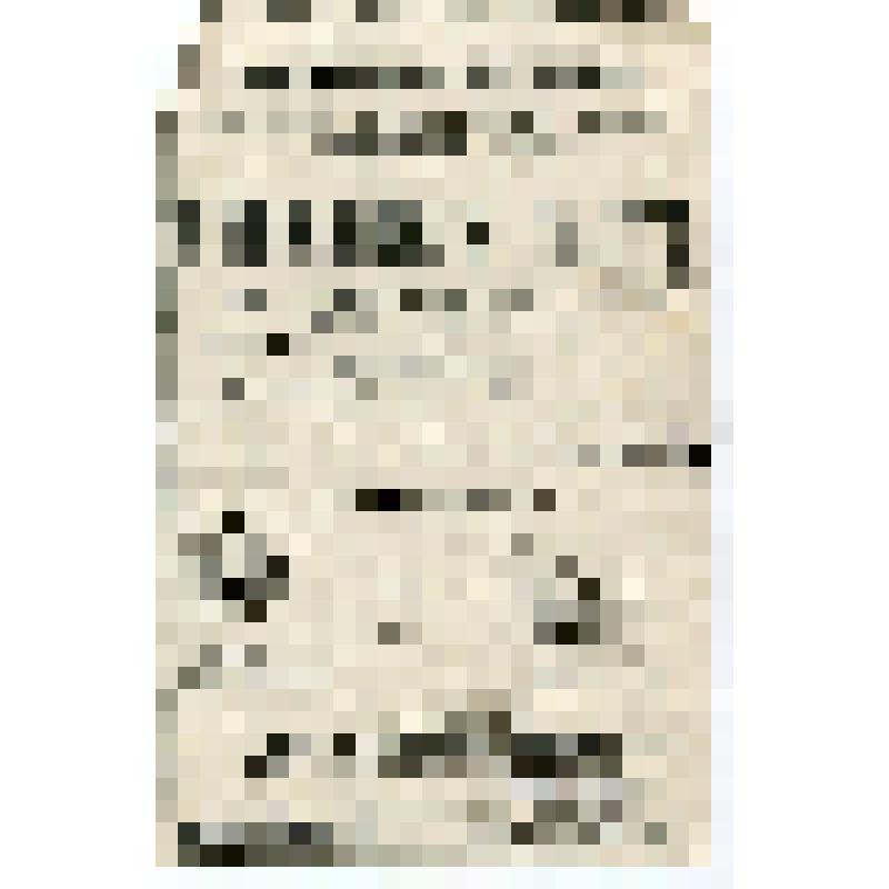 Вырезка из афиши. Программа оперы "Каменный гость" А.С.Даргомыжского. Спектакль: «Каменный гость».  Постановщик: Мейерхольд Всеволод Эмильевич.  Премьера: 27.01.1917