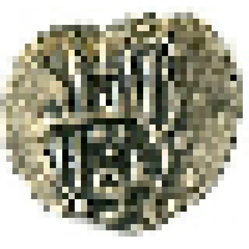 Монета. Золотая Орда. Джучиды. Пулад хан (1407-1413)