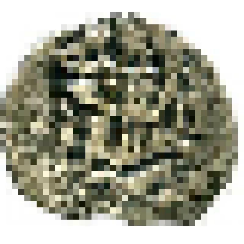 Монета. Золотая Орда. Джучиды. Пулад хан (1407-1413)