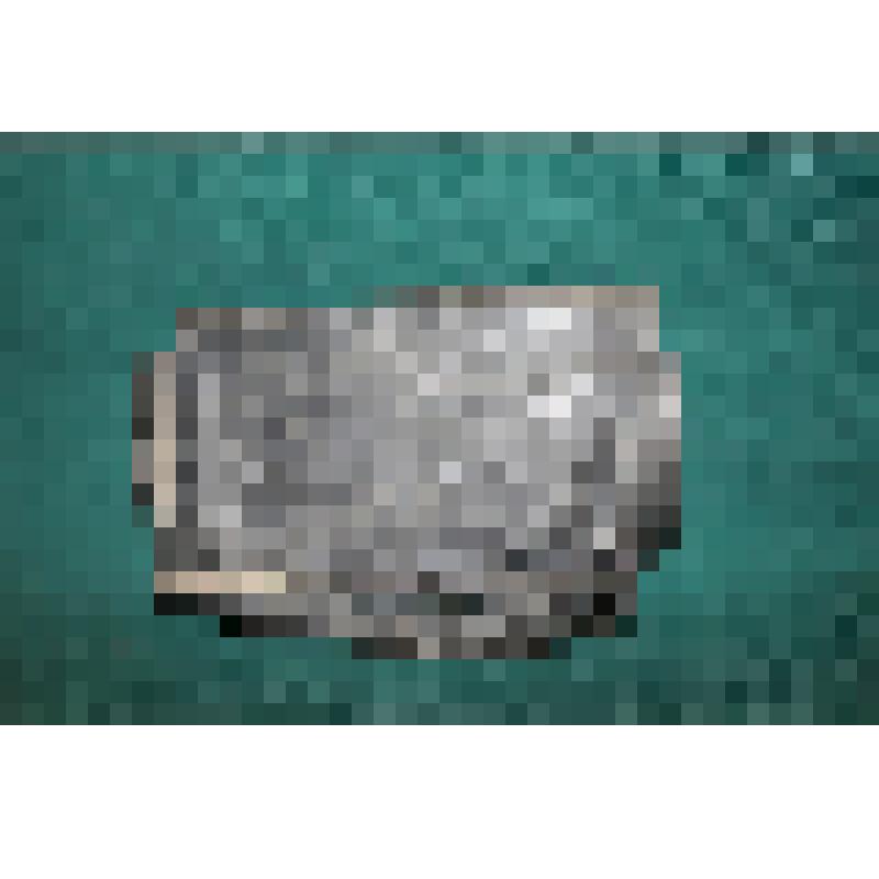 Патронная сумка