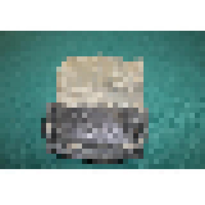 Патронная сумка