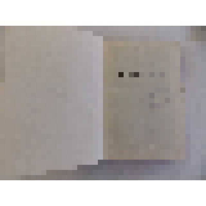 Книга. Господин Фогт