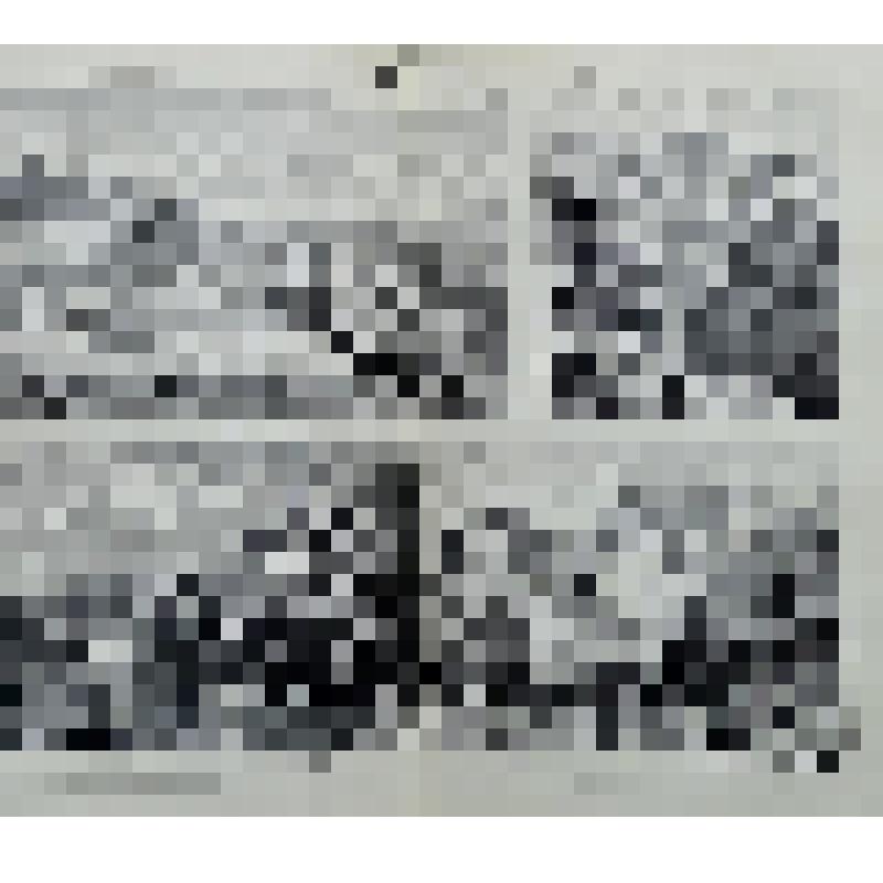 Книга. «Большая Энциклопедия» 
Словарь общедоступных сведений по всем отраслям знания.
Под редакцией С.Н. Южакова и редакторов отделов. том 8  Лит. Гюгсъ – Духовенство. Четвёртое издание со стереотипа.
Около 10.000 иллюстраций в тексте и на приблизительно